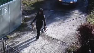 Prípad ženy, ktorá prehodila šteniatka cez bránu útulku, rieši polícia aj veterinárna správa