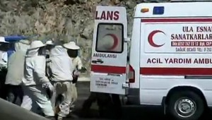 Včely, ktoré havarovali v dodávke doštípali záchranárov