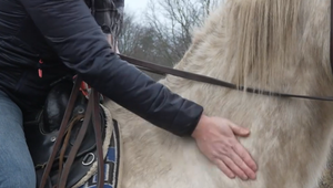 Konská turistika v Poloninách naráža na zákazy, riešením majú byť hipotrasy