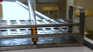 Rozbor odhalil, čo priotrávilo žiakov zdravotníckej školy