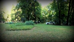 Dievča zahodilo obal od sladkosti do kríkov. Skončilo v putách, chválil sa policajt