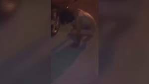 Nahý muž pohybujúci sa po štyroch straší obyvateľov: Miestni hliadkujú každú noc