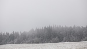 Záhadná smrť poľovníka: Odpojil sa od skupiny, našli ho bez známok života