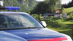 V Rakúsku zatkli Slovenku, ktorá mala zabiť svojho otčima