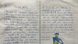 Chcel hrať hokej v NHL, napísal o tom sloh a teraz sa mu to splnilo