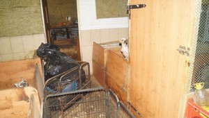 "Protimnožiteľská" novela prešla, čierny obchod zastaví finančná správa