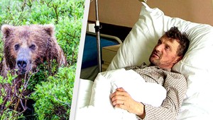 Útok medveďa. Igor sa ocitol medzi matkou a mláďaťom