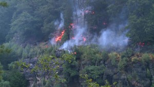 Na mieste rozsiahleho požiaru v Čechách sa už objavujú kriminalisti. Les pravdepodobne niekto zapálil