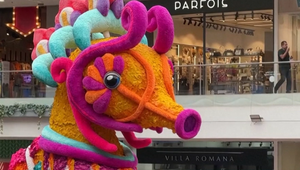 Unikátna výstava: Morského koníka tvorí až 180-tisíc kvetov