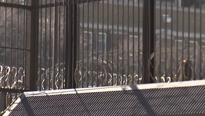 Vraždil aj pred očami detí: 17-ročný vrah je obžalovaný zo šiestich vrážd