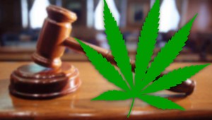 Poslanec zastupiteľstva si privyrábal predajom drog, skončil za mrežami