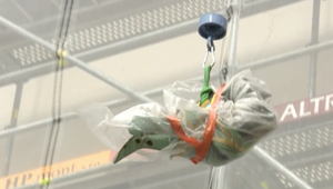 Michalská veža už nemá výnimočnú sochu svätého archanjela. Čaká ju rekonštrukcia a diváci ju tento víkend môžu vidieť