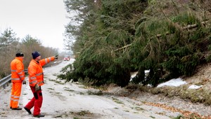 Víchrica postihla nielen západ Európy, vietor trápi aj Slovensko