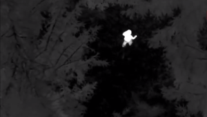 Rodičom sa v horách stratil len 2-ročný chlapec. Vystrašený prešiel až 3,5 kilometra