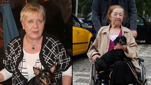 Pobúrené deti Jaroslavy Hanušovej: Trestné oznámenie na kolegyňu