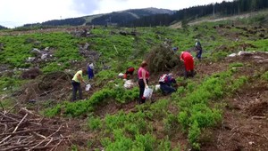 FOTO: Jarné upratovanie na Chopku. Pozrite, ako sa zrazu zelená