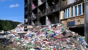 Mladá žena porodila dieťa. Polícia našla jeho telo v kríkoch