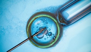 Keď otehotnela, mala 48 rokov a za sebou 14 umelých oplodnení