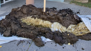 Pred Úradom verejného zdravotníctva sa objavila kopa hnoja