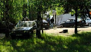 Mafiánov Diničovcov môže mať na svedomí potkan Roháč