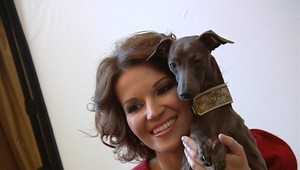 Celebrity nafotili kalendár so zvieratami