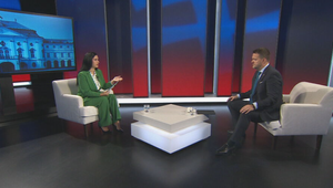 Politika 24: Migaľ prezradil, že s premiérom komunikuje netradične – cez „šikovnú asistentku“