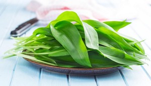 Medvedí cesnak verzus jedovatá konvalinka - ako si ich nespliesť?