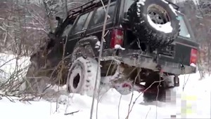 Arogantní vodiči v lese