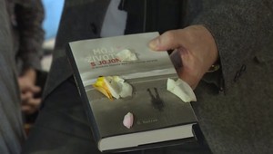 Šťastný začiatok knihy zakončuje tragédia. Môj život s Jojom aj o tragickej smrti dievčatka v aute