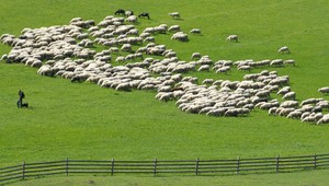 Z pastierov sa stávajú robotníci. Na slovenských salašoch nemá kto pracovať