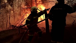 Niekoľko dedinčanov sa počas požiaru v Grécku odmietlo evakuovať, zostali, aby si zachraňovali domy