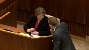 Boris Kollár v parlamente kľačal pred ombudsmankou Janou Dubovcovou