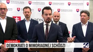 Tlačová beseda strany Demokrati k mimoriadnej schôdzi