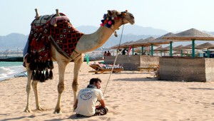 Telá Češiek (†36,†8) už previezli do Ostravy