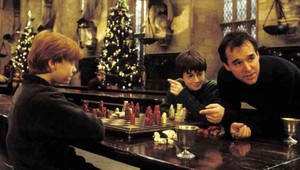 Režisér Harryho Pottera: Chcem sfilmovať jeho dospelosť!