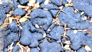 Kameňolom Srdce už čistia. Toxíny prevážajú odokryté, tvrdia domáci