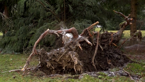 Meteorológovia varujú pred snehovými závejmi a vetrom na horách