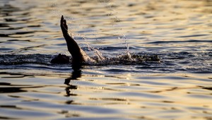 Tragédia na štrkovisku. Tínedžer (†14) sa chcel schladiť, utopil sa