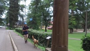 Tritisíc kilometrov dlhú trasu chce zdolať v deň 100. výročia Československa