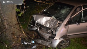 Vodič neprežil silný náraz do stromu