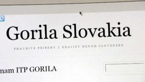 Hádka v parlamente. Podľa opozície výbor ku Gorile bez Gajdoša nemá význam
