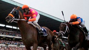 Favoriti sa utopili v bahne