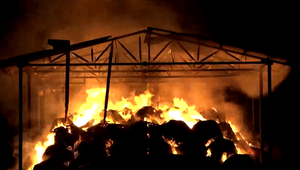 Dramatický požiar na farme mal tragický koniec. Zahynuli desiatky zvierat