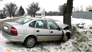 Auto sa zrútilo do priekopy, zomrela tínedžerka (†16)