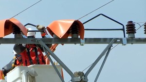 Špeciálna zásielka bocianov uchráni od 22 tisíc voltov