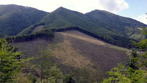 Európska únia hľadá spoločné pravidlá na prístup krajín k lesom. Konanie začali viesť aj voči Slovensku