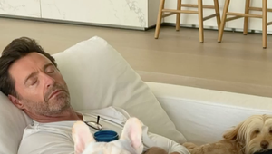 Rakovina sa vrátila?! Hviezdny herec priznáva, že si za to môže sám!