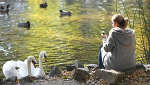 Po slnečnom víkende prichádzajú výstrahy. Dočkáme sa ešte babieho leta?