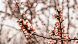 Posledný zimný víkend je tu: Aké počasie nás čaká?