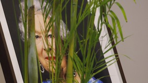 Manévre v Buckinghamskom paláci! Kráľovná sa sťahuje z diania, prekvapivo ju zastúpi aj TÁTO osoba!